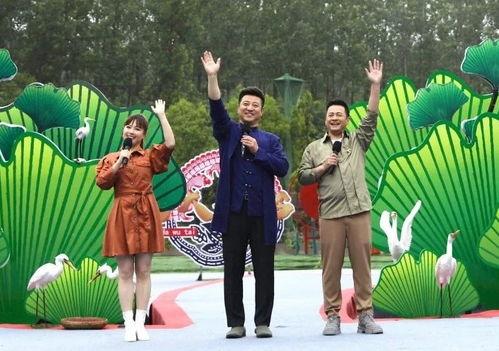 合肥外卖爆料事件视频最新,揭露行业乱象，消费者权益再引关注